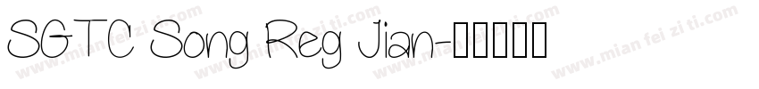 SGTC Song Reg Jian字体转换